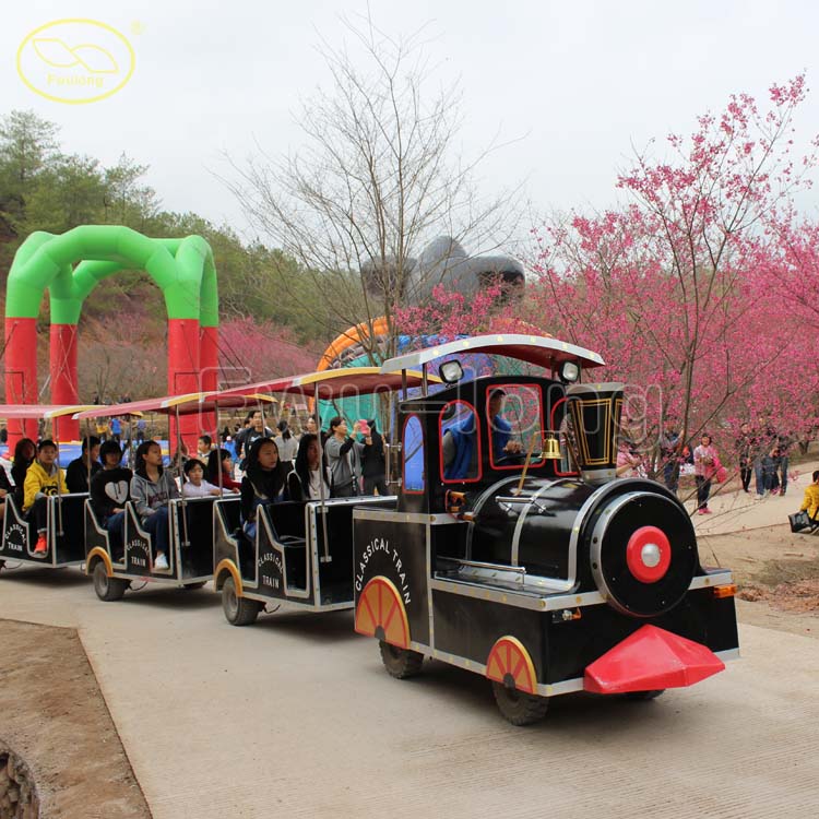 2013 Meizhou Carnival Activities